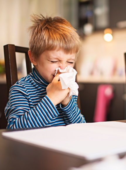 Test ALEX Lębork