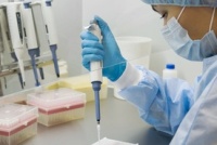 Wpływ środowiska na DNA