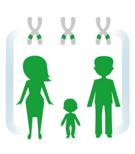 Rodzice są zdrowymi homozygotami