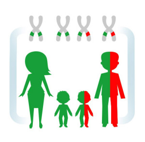 Jeden z rodziców jest heterozygotą