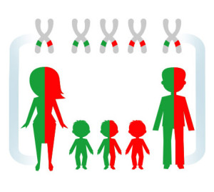 badanie na tromvofilię wrodzoną - jak dziedziczymy