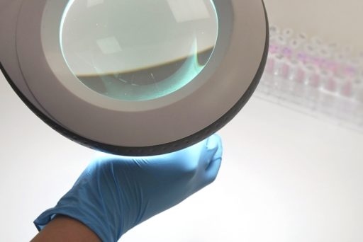 Badania DNA z włosów w sprawie Tomasza Komendy