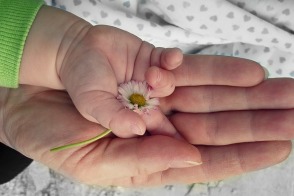 Jakie wady wykrywa test NIFTY Pro, Kiedy można zrobić test NIFTY Pro, Jaka jest skuteczność testu NIFTY Pro, Test NIFTY Pro czy test Sanco który wybrać