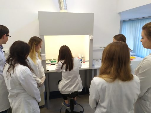 Praktyczna nauka zawodu