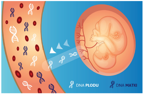 cffdna