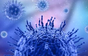 immunofenotyp, badanie subpopulacji limfocytów