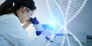 wes Katowice badanie wes Katowice