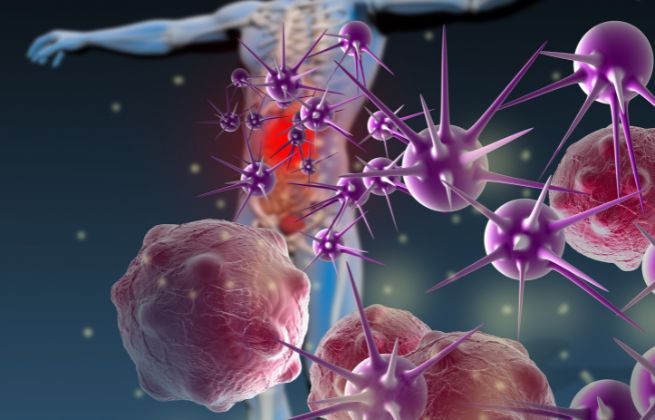 badanie kir i hla-c warszawa