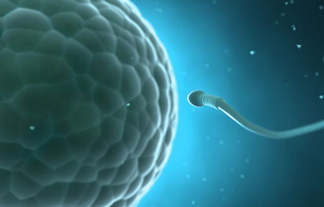 fragmentacja DNA plemników