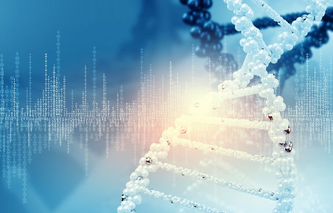 Badanie kariotypu cena - w jaki sposób przeprowadza się badanie kariotypu