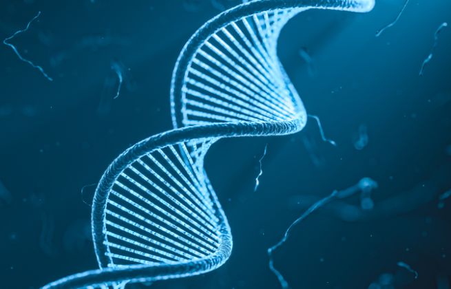 Badanie kariotypu rodziców - jakie są rodzaje badań