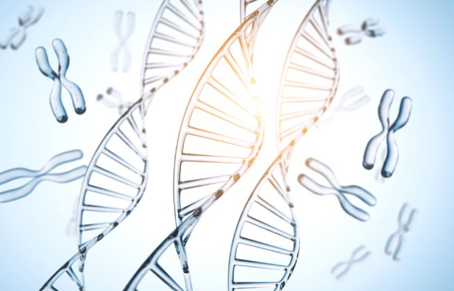 Czym jest badanie cytogenetyczne