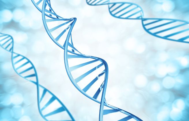 Kariotypy - jak wygląda badanie kariotypu