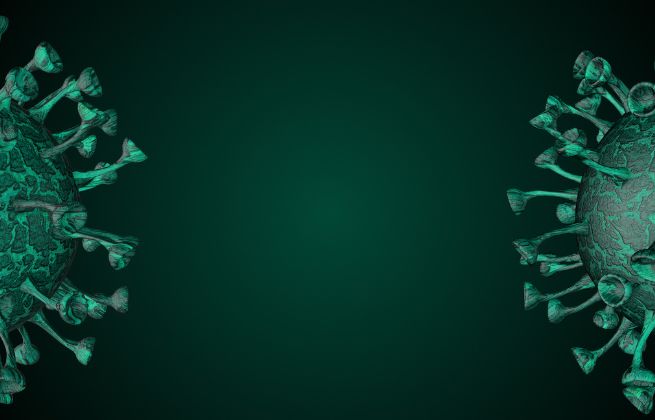 kiedy-nalezy-wykonywac-badanie-hla-c