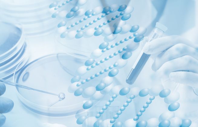 materiał z poronienia