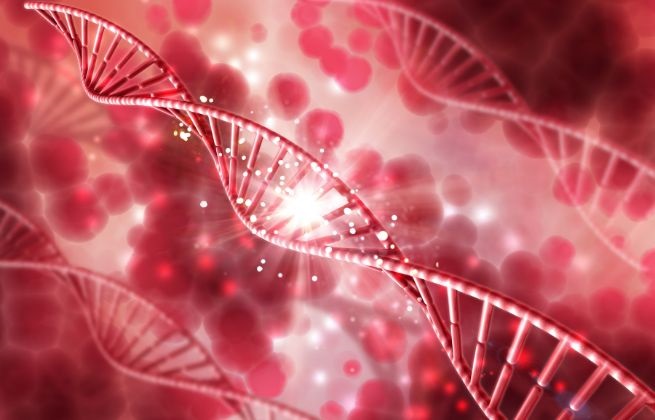 Refundowany test na Hemochromatozę