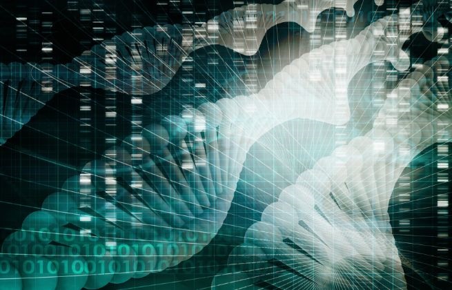 Materiały dla mediów do pobrania