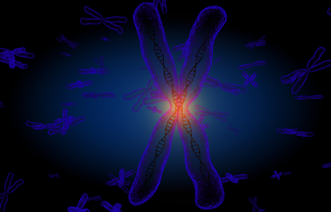 Zespół łamliwego chromosomu X
