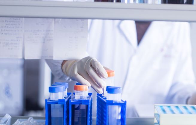 Allo-MLR co to jest i na czym polega