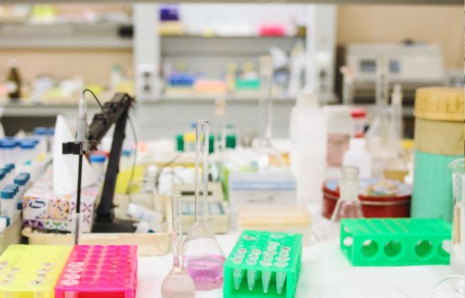 Allo MLR jak się przygotować do badania