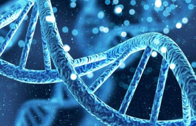 Cross match badanie diagnostyka - na czym polega