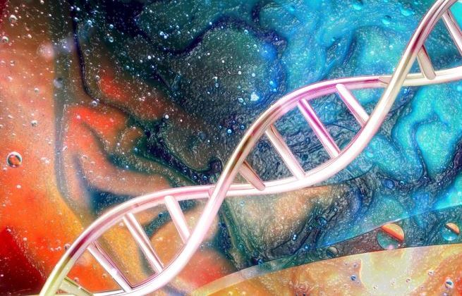 Test mikrolimfocytotoksyczny - na czym polega