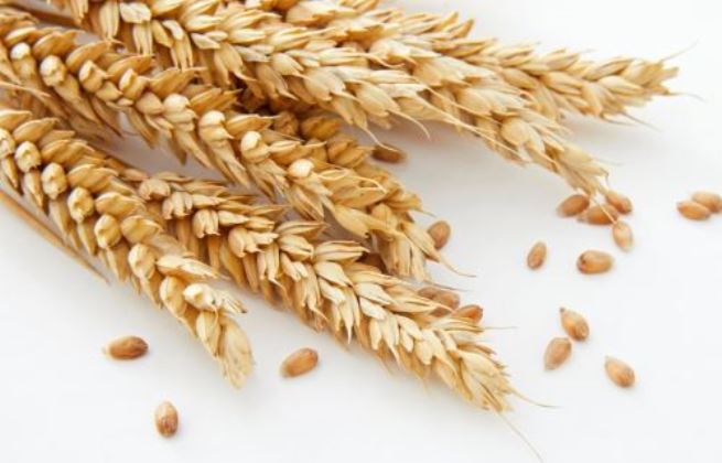 Celiakia objawy - uciążliwe skutki glutenu