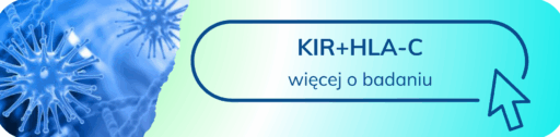 Grafika z komórkami immunologicznymi – baner „KIR + HLA-C – więcej o badaniu”.