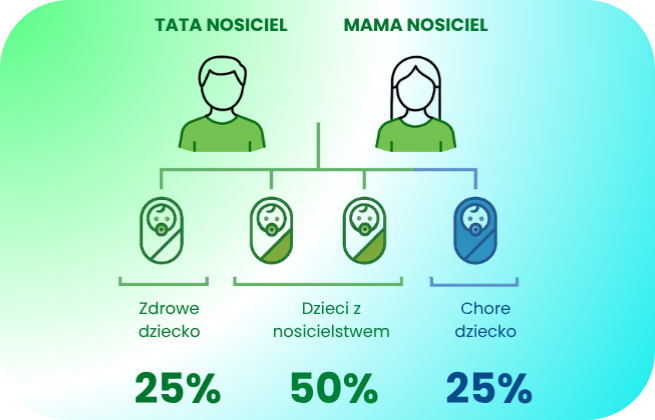 Schemat dziedziczenia chorób recesywnych – ryzyko 25% chorego dziecka, 50% nosicieli, 25% zdrowych.