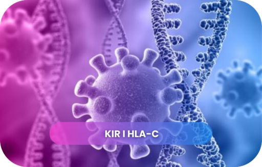 KIR i HLA-C – immunogenetyka w diagnostyce po poronieniu