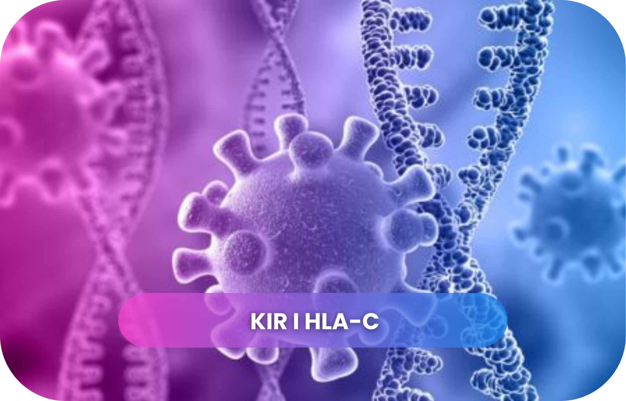 KIR i HLA-C – immunogenetyka w diagnostyce po poronieniu
