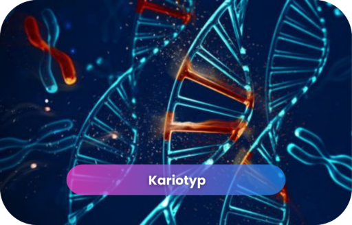 Kariotyp – analiza chromosomów i struktury DNA