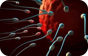 niepłodność męska pakiet