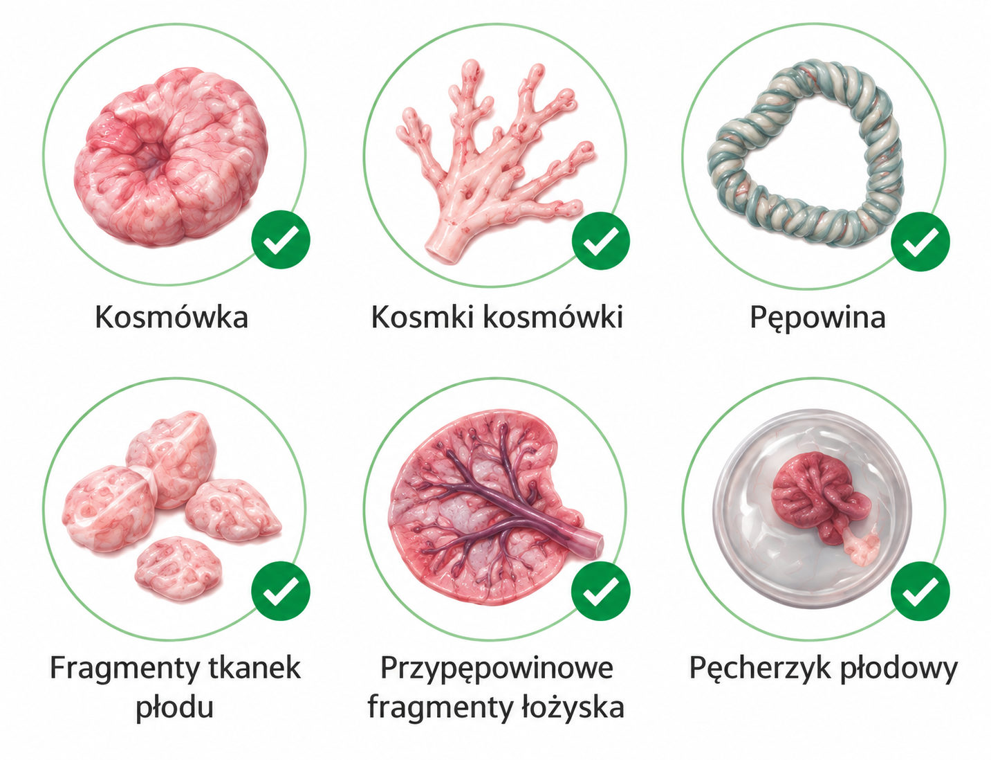 Materiał nadający się do badania genetycznego po poronieniu: kosmówka, kosmki kosmówki, pępowina, fragmenty tkanek płodu, przypępowinowe fragmenty łożyska, pęcherzyk płodowy