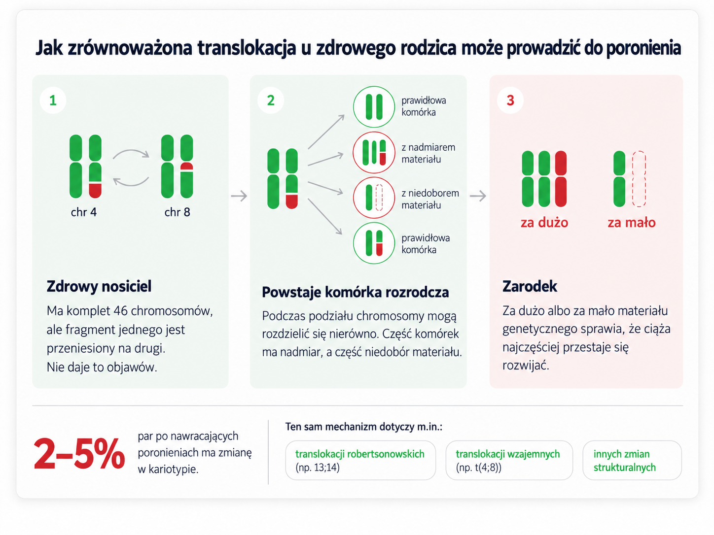 Jak zrównoważona translokacja u zdrowego rodzica może prowadzić do poronienia: zdrowy nosiciel ma komplet 46 chromosomów z fragmentem jednego przeniesionym na drugi, podczas podziału powstają komórki rozrodcze z nadmiarem lub niedoborem materiału, a zarodek z takiej komórki najczęściej przestaje się rozwijać. Zmianę w kariotypie ma 2-5% par po nawracających poronieniach.